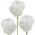 Floristik24 Roses artificielles roses en cire crème roses décoratives en cire Ø6cm 18 pcs