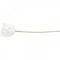 Roses artificielles roses en cire crème roses décoratives en cire Ø6cm 18 pcs | Floristik24.fr