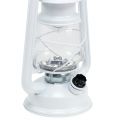 Floristik24 Lanterne LED dimmable blanc chaud 24,5cm avec 15 lampes