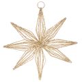 Floristik24 Étoile décorative en fil métallique doré avec 20 LED lumière chaude, 22 cm, intérieur