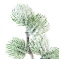 Floristik24 Branche de mélèze artificielle branche décorative verte avec neige L25cm