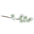 Floristik24 Branche de mélèze artificielle branche décorative verte avec neige L25cm