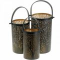 Floristik24 Lanterne en métal, lanterne avec arbre, décoration automne, noir, doré Ø20 / 19 / 14cm H23,5 / 17 / 12,5cm