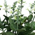 Floristik24 Pot de Lavande Artificielle Fleur de Soie de Lavande Décorative en Blanc