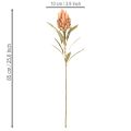 Kunstblume Protea Leucadendron 65 cm en lot de 3 | Floristik24.fr