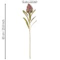 Fleurs artificielles Protea Leucadendron 65 cm 3 pièces Crème Bordeaux Rose | Floristik24.fr