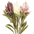 Fleurs artificielles Protea