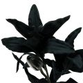 Floristik24 Fleur artificielle Lys noir 84cm