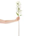 Branche fleurie artificielle lys blanc décorative 80 cm | Floristik24.fr
