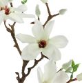 Floristik24 Magnolia blanc 51cm 3pcs