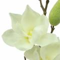 Floristik24 Magnolia Real Touch Blanc 70cm