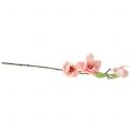 Floristik24 Magnolia artificiel rose clair 70cm
