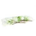 Floristik24 Fleur de magnolia en mousse blanc-vert Ø10cm L26cm 4pcs