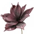 Floristik24 Fleur artificielle magnolia violet fleur en mousse Ø10cm 6pcs