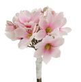 Floristik24 Bouquet de magnolia rose 40cm 5pcs