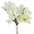 Floristik24 Bouquet de magnolia blanc 40cm 5pcs