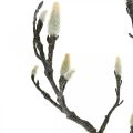 Floristik24 Branche de Magnolia Printemps Bourgeon Branche Artificielle Marron Blanc L100cm
