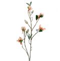 Floristik24 Branche Magnolia rose pâle L 82cm