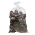 Cônes Maritima 14/18 naturel 25 pcs | Floristik24.fr