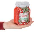 Lot de 2 boîtes métalliques 15 cm avec motifs de Noël et design pot à biscuits | Floristik24.fr