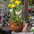 Floristik24 Bol en métal avec lapins, décorations de Pâques, jardinière à planter patine Ø18cm H19,5cm
