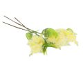 Floristik24 Plante artificielle argent acacia mimosa floraison jaune 53cm 3pcs