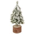 Floristik24 Mini sapin de Noël socle en bois vert blanc Ø8cm H18cm 3pcs