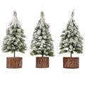Mini sapin de Noël socle en bois vert blanc Ø8cm H18cm 3pcs | Floristik24.fr