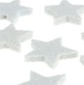 Floristik24 Mini étoiles scintillantes 2,5cm blanches 48pcs