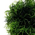 Floristik24 Mini boule d&#39;herbe plante artificielle verte ronde Ø10cm 1pc