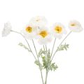 Floristik24 Kunstblume Pavot Blanc Tige Longue 78cm Lot de 3