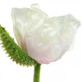 Coquelicot artificiel, fleur en soie blanc-rose L55/60/70cm lot de 3