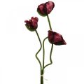 Coquelicot artificiel, plante artificielle, rosier rouge-noir L55/60/70cm