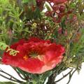 Bouquet de pavot d&#39;automne 25cm
