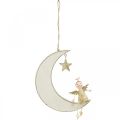 Floristik24 Décoration de l&#39;Avent, ange sur la lune, décoration en bois à suspendre blanc, doré H14.5cm L21.5cm 3pcs