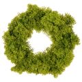 Floristik24 Couronne décorative en mousse artificielle verte 28 cm pour table ou porte