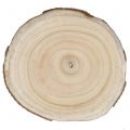 Floristik24 Tranche d&#39;arbre jacinthe des bois naturel Ø30-35cm 1pc