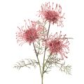 Floristik24 Branche Fleur Artificielle Protea Nadelkissen 65 cm Rose et Vert, Set de 3