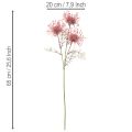 Branche Fleur Artificielle Protea Nadelkissen 65 cm Rose et Vert, Set de 3 | Floristik24.fr
