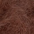 Floristik24 Herbe de sisal en fibres naturelles pour l&#39;artisanat Herbe de sisal marron 300g