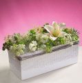 Floristik24 OASIS® Table Deco Mini mousse florale 8pcs