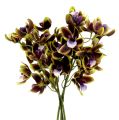 Floristik24 Orchidée Cymbidium Vert, Violet L38cm 4pcs