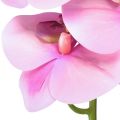 Floristik24 Orchidée Phalaenopsis artificielle 8 fleurs rose 104cm