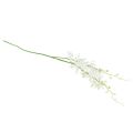 Floristik24 Orchidées artificielles Oncidium fleurs artificielles blanc 90cm