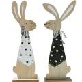Floristik24 Lapin de Pâques noir et blanc stand décoration de Pâques lapin en bois figure lot de 2