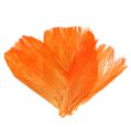 Floristik24 Fibre de palmier 400 g orange clair / pastel