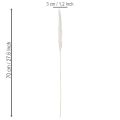 Pampasgras séché blanchi 70 cm 15 pièces | Floristik24.fr