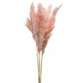 Floristik24 Herbe de pampa séchée fleuristerie sèche rose 65-75cm 6pcs en bouquet