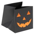 Floristik24 Pochettes en papier Halloween motif citrouille 10,5 cm noir et orange lot de 6