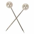 Épingles décoratives perles champagne Ø15 mm 75 mm - Lot de 10 | Floristik24.fr
